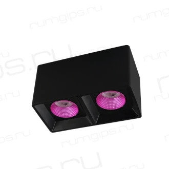 Накладной светильник DK3085-BK+PI Denkirs