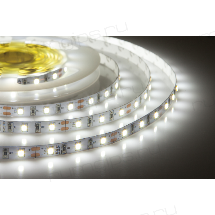 Лента светодиодная герметичная ELF GERMES, 300SMD (2835), 12В, IP65, 5м, белая