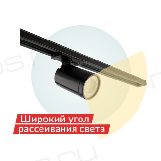 Светильник на шине DK6501-BK Denkirs