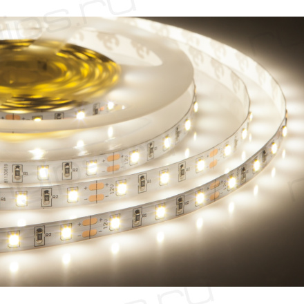 Лента светодиодная ELF 300SMD диодов (2835), 12В, 5м, белый дневной 5000-5500К