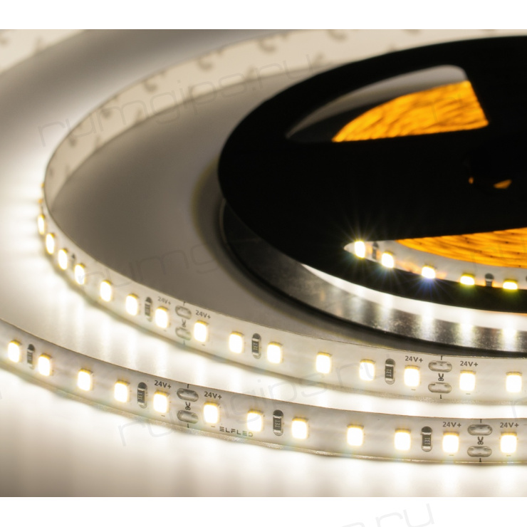 Лента светодиодная ELF 600SMD диодов (2835), 24В, 5м, белый дневной 5000-5500К