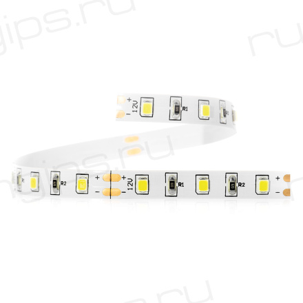 Лента светодиодная ELF 300SMD диодов (2835), 12В, 5м, белый холодный 10000-12000К