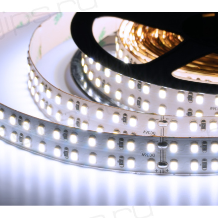 Лента светодиодная ELF 1400SMD диодов (2835), 24В, 5м, ГИПЕР, белый 6500-7000К