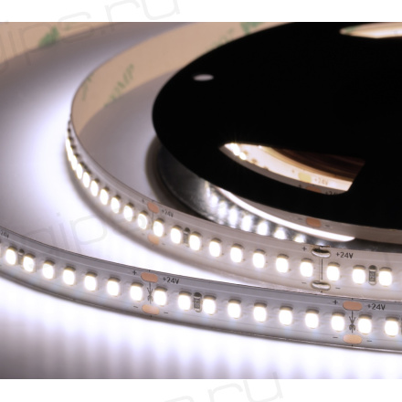 Лента светодиодная ELF 960SMD диодов (2835), 24В, 5м, ЭКСТРА, белый 6500-7000К