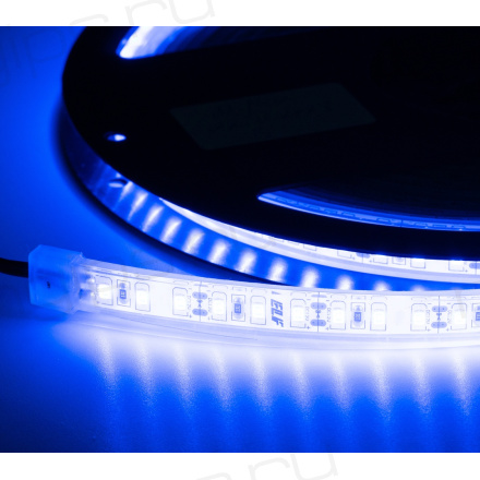 Лента светодиодная герметичная ELF 600SMD (2835), 12В, IP68, 5м, синий