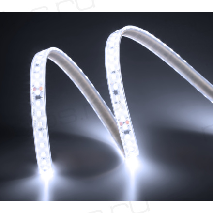 Лента светодиодная ELFLED 120SMD диодов (2835), 220В, IP67, 1м, белый 6500-7000К