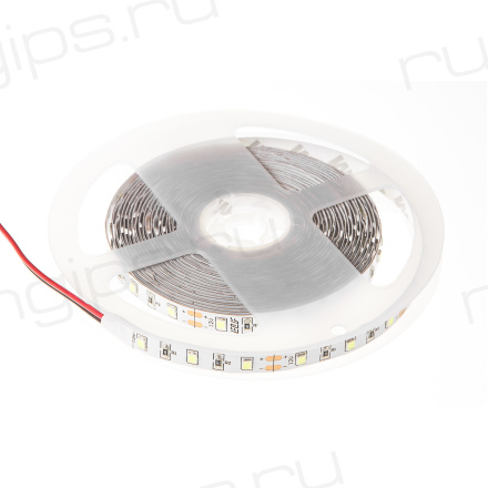 Лента светодиодная ELF 300SMD диодов (2835), 24В, 5м, белый дневной 5000-5500К