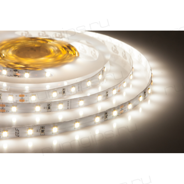 Лента светодиодная ELF 300SMD диодов (2835), 24В, 5м, белый дневной 5000-5500К