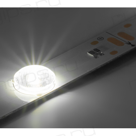 Линейка фронтальная светодиодная ELF 12SMD2835, 24В, 0.95м, с линзами 170гр, белый нейтр. 4000-4500K