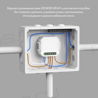 RL1001-SM/1 Одноканальное Wi-Fi реле-выключатель 1 x 2300 Вт / 250 Вт для LED