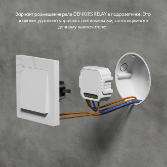 RL1001-SM/1 Одноканальное Wi-Fi реле-выключатель 1 x 2300 Вт / 250 Вт для LED