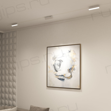 DK8009-WH Поворотный матовый светильник SMART 9W DIM 3000K-6000K белый