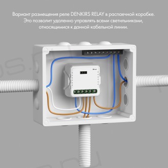 RL1002-SM Двухканальное Wi-Fi реле-выключатель 2 x 2300 Вт / 2 x 250 Вт для LED