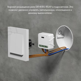 RL1002-SM Двухканальное Wi-Fi реле-выключатель 2 x 2300 Вт / 2 x 250 Вт для LED