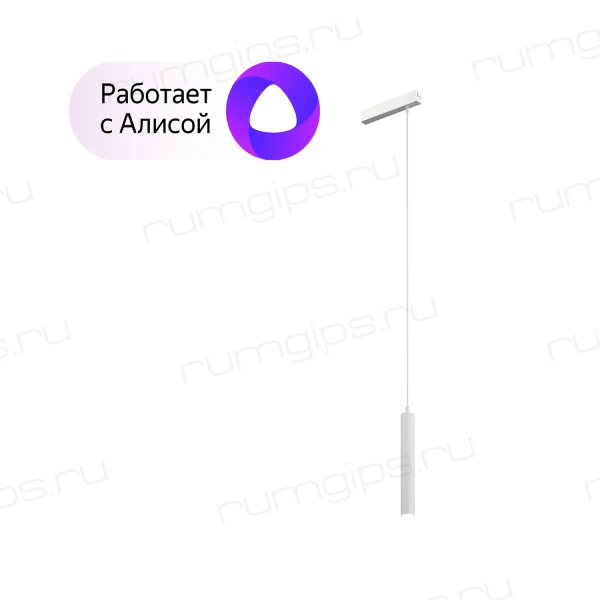 DK8008-WH Подвесной светильник SMART HANG 9W DIM 2700K-6000K белый