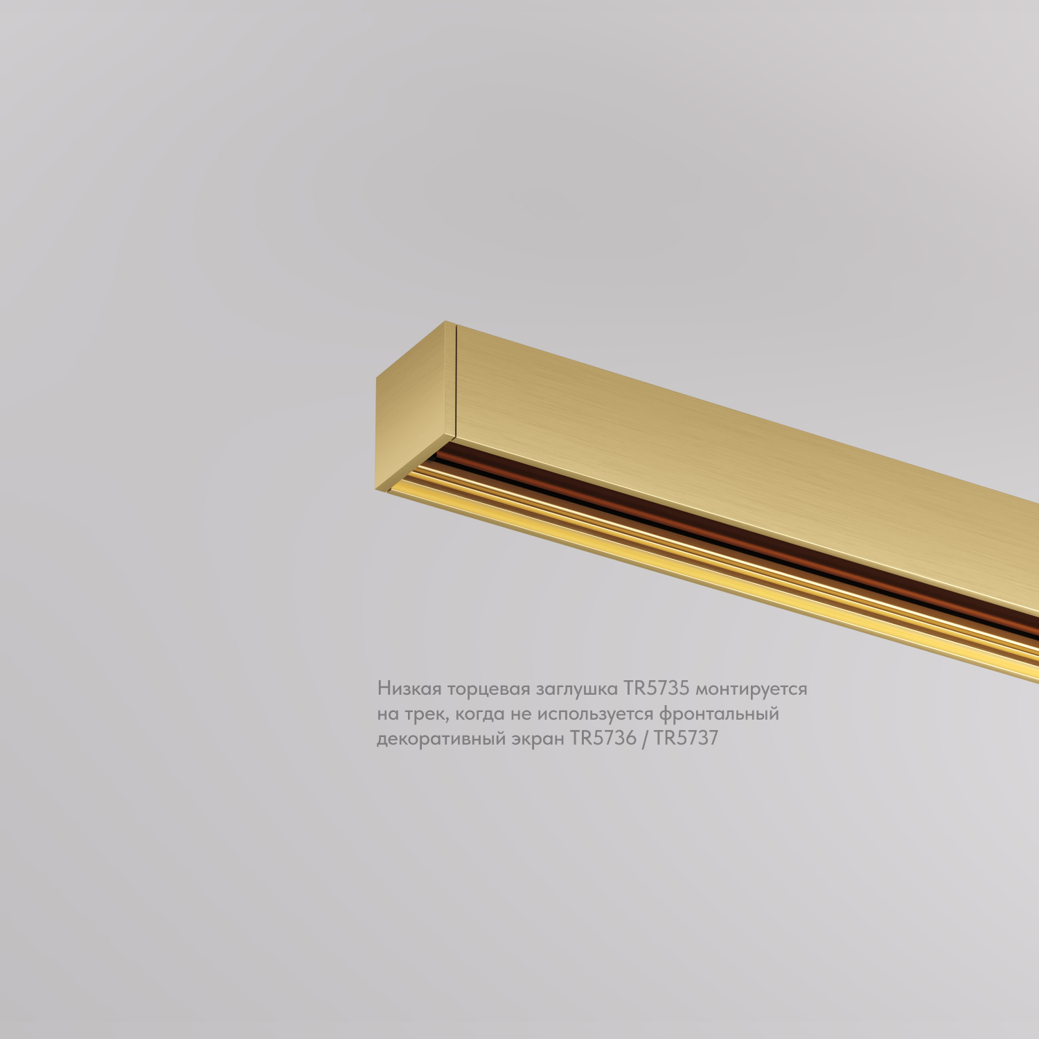 TR5735-SB Торцевая заглушка низкая, для использования без экрана, для трека Shine, серия Base,  комплект 2 шт, сатинированная латунь, алюминий