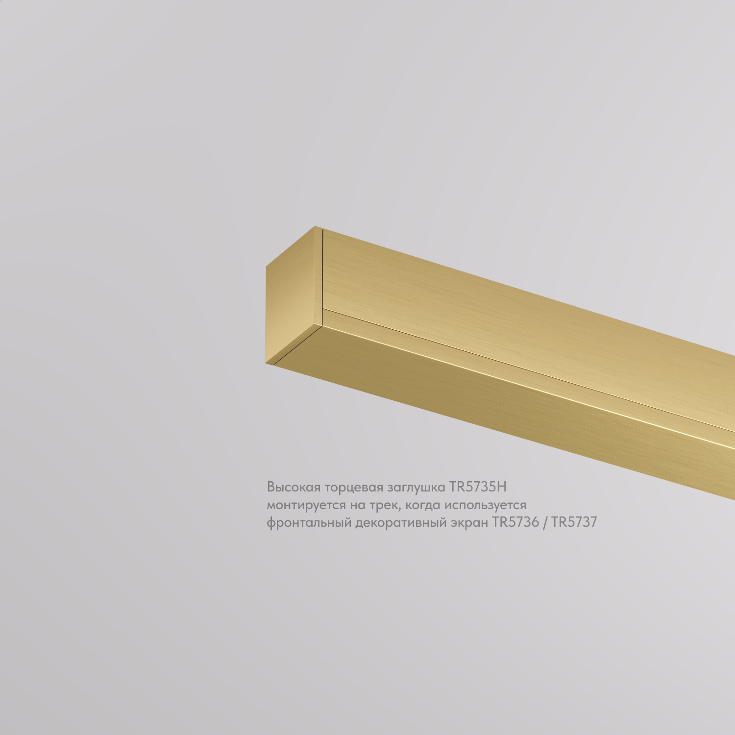 TR5735H-SB Торцевая заглушка, высокая, для использования с экраном, для трека Shine, серия Base, комплект 2 шт, сатинированная латунь, алюминий