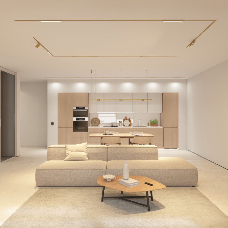 DK5943-SB Светильник трековый SHINE SPOT ZigBee, 48В, 8Вт, 2700-6000K, IP20, сатин. латунь, алюминий