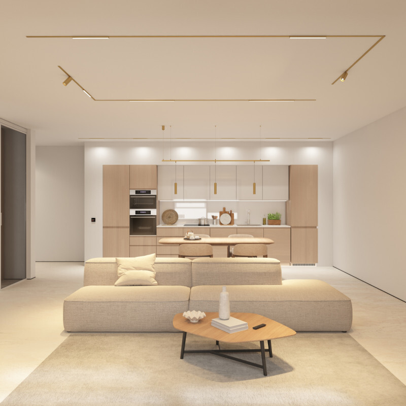 DK5944-SB Светильник трековый SHINE SPOT ZigBee, 48В, 8Вт, 2700-6000K, IP20, сатин. латунь, алюминий